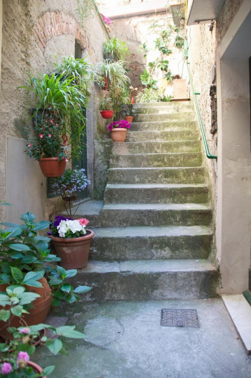 IN CENTRO Image 15